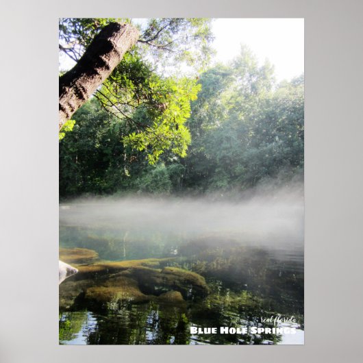 Reis | Florida - Blue Hole Springs Foggy Morning Poster (Voorkant)