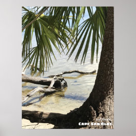 Reis | Florida - Cape San Blas Driftwood Poster