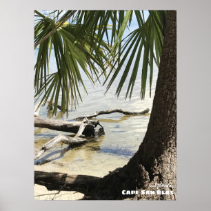 Reis Florida - Cape San Blas Driftwood Poster
