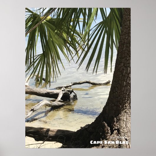 Reis | Florida - Cape San Blas Driftwood Poster (Voorkant)