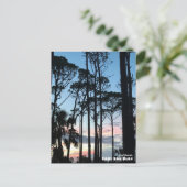 Reis | Florida - Cape San Blas Pines Sunset Briefkaart (Staand voorkant)