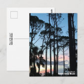 Reis | Florida - Cape San Blas Pines Sunset Briefkaart (Voorkant / Achterkant)