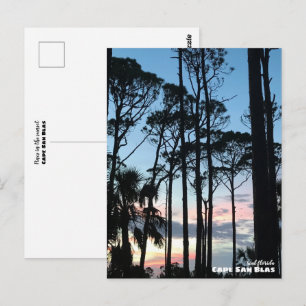 Reis   Florida - Cape San Blas Pines Sunset Briefkaart