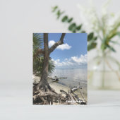 Reis | Florida - Cape San Blas-strand Briefkaart (Staand voorkant)
