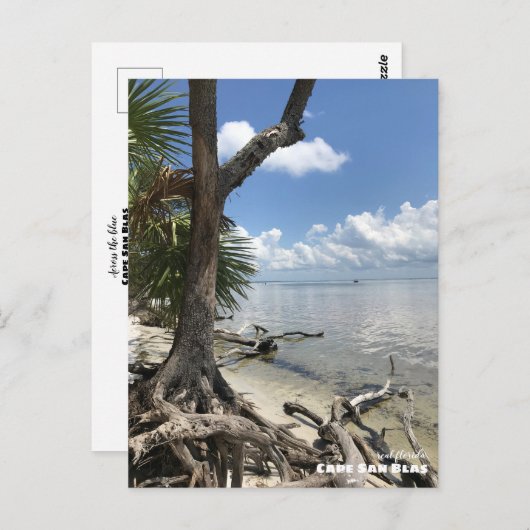 Reis | Florida - Cape San Blas-strand Briefkaart (Voorkant / Achterkant)