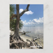 Reis | Florida - Cape San Blas-strand Briefkaart (Voorkant)