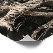 Reis | Florida - Cape San Blas-strand Poster (Hoek)