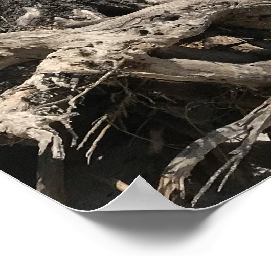 Reis | Florida - Cape San Blas-strand Poster (Hoek)