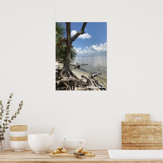 Reis | Florida - Cape San Blas-strand Poster (Keuken)