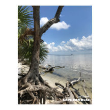 Reis | Florida - Cape San Blas-strand