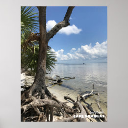 Reis | Florida - Cape San Blas-strand Poster
