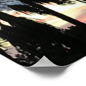 Reis | Florida - Kaapse zonneschermen Poster (Hoek)