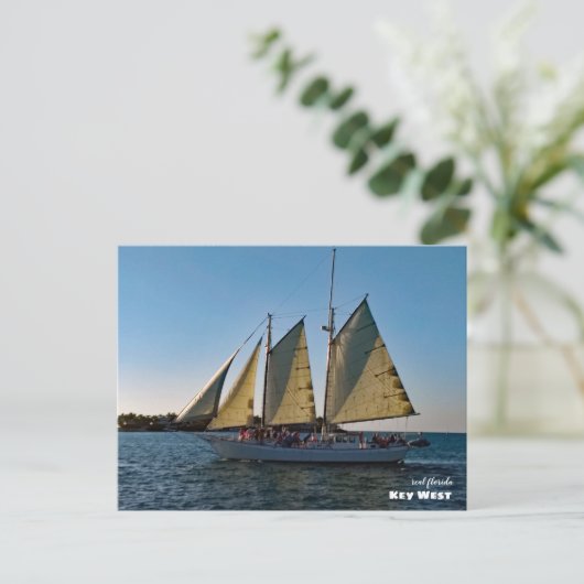 Reis | Florida - Key West Sunset Sailboat Cruise Briefkaart (Staand voorkant)