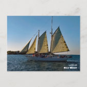 Reis | Florida - Key West Sunset Sailboat Cruise Briefkaart (Voorkant)