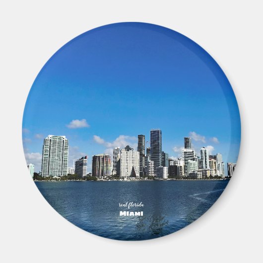 Reis | Florida - Miami Skyline Magneet (Voorkant)