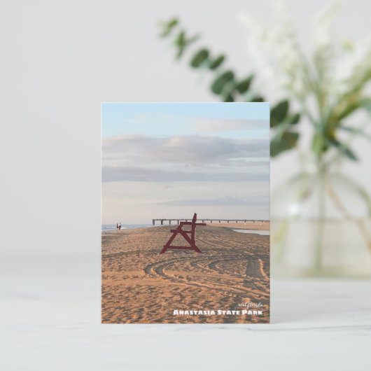 Reis | Florida - Nationaal Park Anastasia Beach Briefkaart (Staand voorkant)