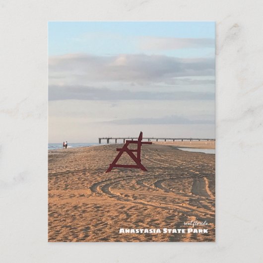Reis | Florida - Nationaal Park Anastasia Beach Briefkaart (Voorkant)