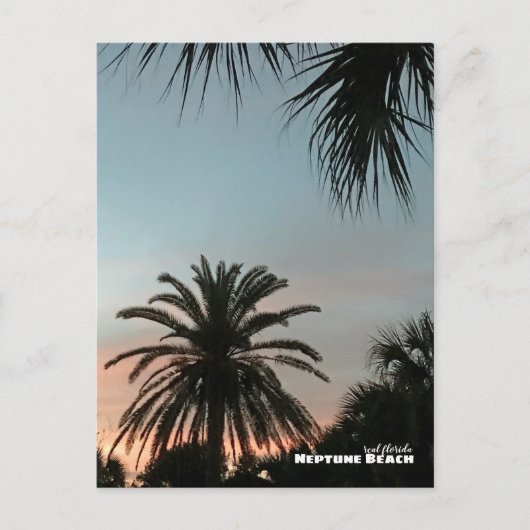 Reis | Florida - Neptune Beach Pink Sunset Palms Briefkaart (Voorkant)