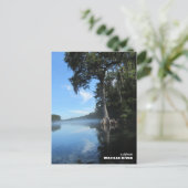 Reis | Florida - Oude Cypress-boom, de rivier de W Briefkaart (Staand voorkant)