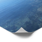 Reis | Florida - Oude Cypress-boom, de rivier de W Poster (Hoek)