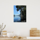Reis | Florida - Oude Cypress-boom, de rivier de W Poster (Keuken)