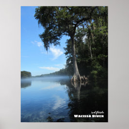 Reis | Florida - Oude Cypress-boom, de rivier de W Poster
