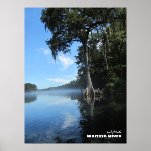 Reis | Florida - Oude Cypress-boom, de rivier de W Poster (Voorkant)