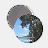 Reis | Florida - Wacissa River Cypress Magneet (Voorkant / Achterkant)