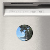 Reis | Florida - Wacissa River Cypress Magneet (Insitu (Vaatwasser))