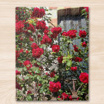 Reis France Red Roses Legpuzzel<br><div class="desc">Ik nam deze foto op een dag terwijl ik een straat in Frankrijk liep.
Het klimmen van rode rozen in het zonlicht verduistert bijna een gesloten raam en wordt vastgehouden door een oud ijzeren hek.
Zo romantisch en nostalgisch. Ik hoop dat je van deze puzzel houdt!</div>