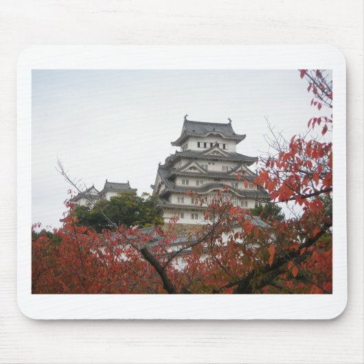 Reis Himeji Kasteel Muismat (Voorkant)