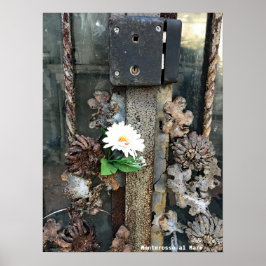 Reis | Italië - Monterosso al Mare - oude sluis Poster