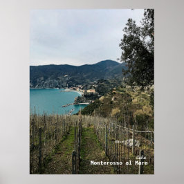 Reis | Italië - Monterosso Winter Wineyard Poster