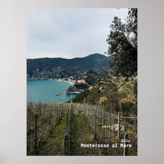 Reis | Italië - Monterosso Winter Wineyard Poster (Voorkant)