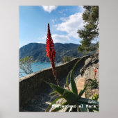 Reis | Italië Poster (Voorkant)