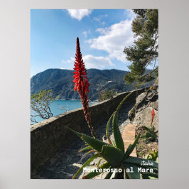 Reis | Italië Poster