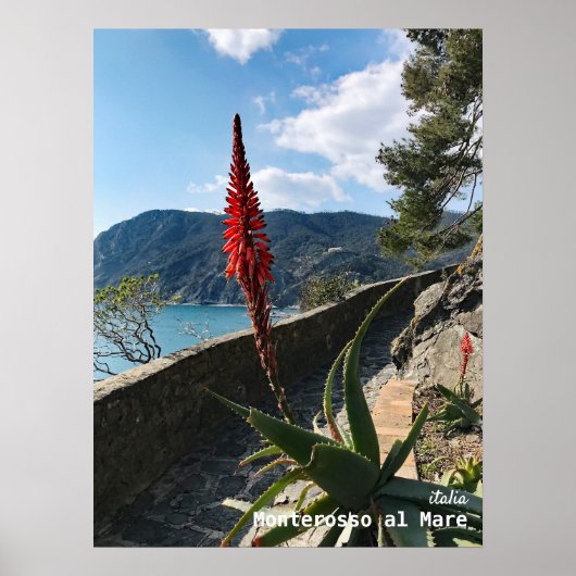 Reis | Italië Poster (Voorkant)