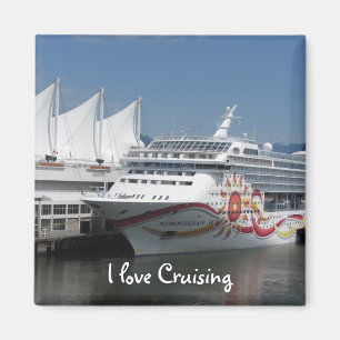 Reis magneet cruiseschip