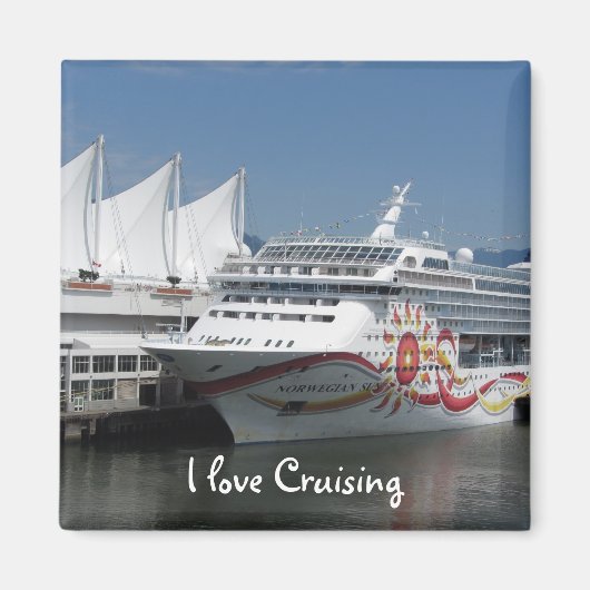Reis magneet cruiseschip (Voorkant)