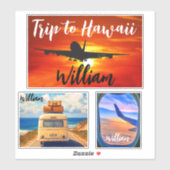 Reis naar Hawaï (reisstempels) Vliegtuigkoffer Sticker (Vel)