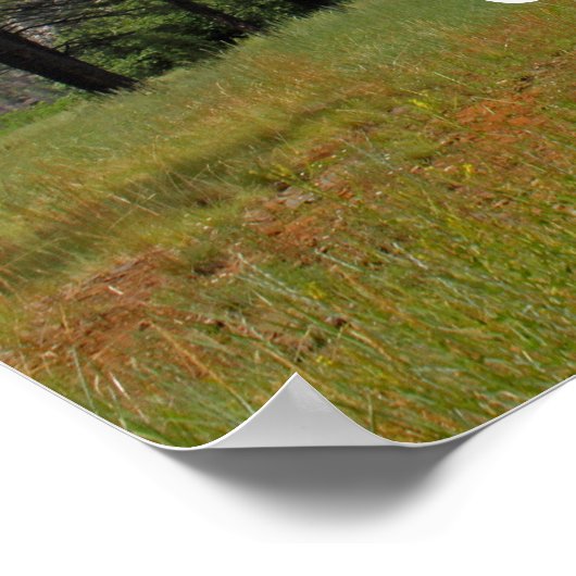 Reis naar het Poster New Places (Hoek)