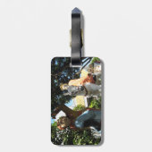 Reis naar het Westen [Monkey Magic] Bagagelabel (Achterkant verticaal)