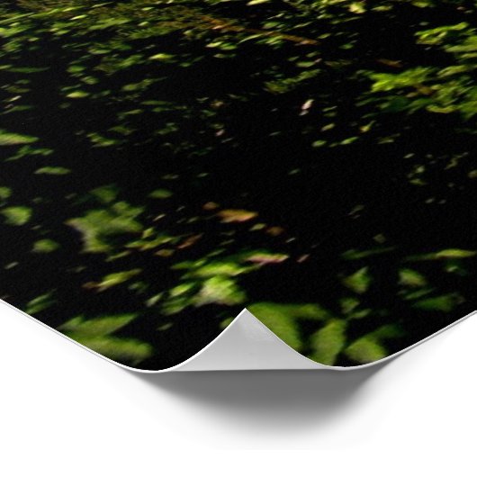 Reis naar Rochers de Naye Poster (Hoek)