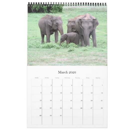 reis van sri lanka kalender (Mar 2026)