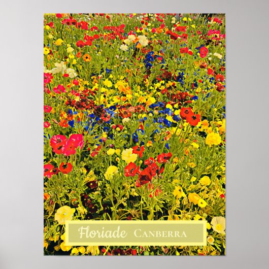 Reisdruk van het Floriade Canberra bloemfestival Poster (Voorkant)