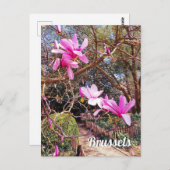 Reisfoto Brussel België Briefkaart (Voorkant / Achterkant)