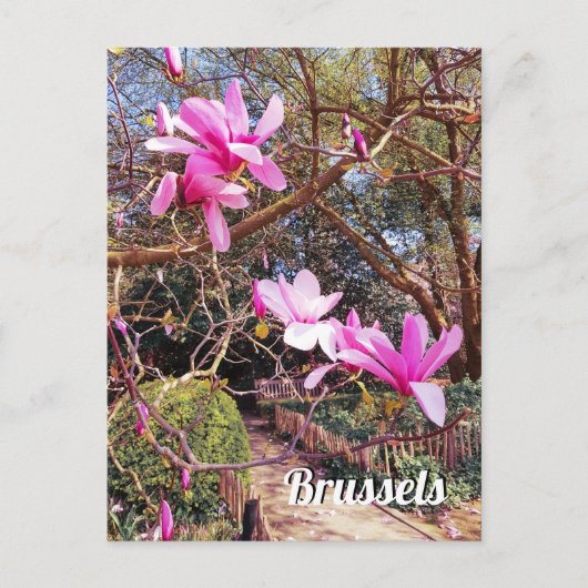 Reisfoto Brussel België Briefkaart (Voorkant)
