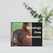 Reisgroeten uit Indonesië Briefkaart (Staand voorkant)