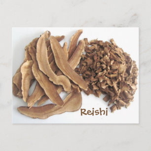 Reishi Mushroom Briefkaart