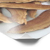 Reishi Mushroom Foto afdrukken (Hoek)